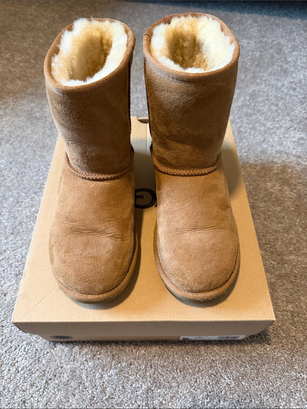 Classic Chestnut Shearling-Lined Suede Boots